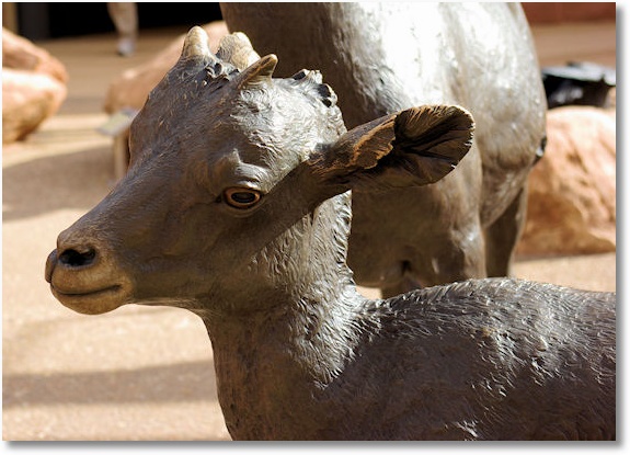 Young Bighorn in Bronze, Visitor Center, Arches National Park, Utah