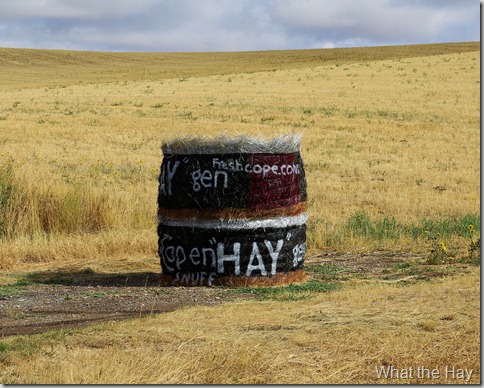 What the Hay, Judith Basin County, Montana