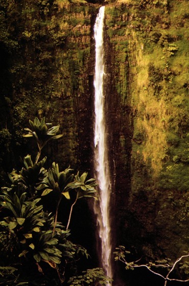 Akaka Falls State Park, Hawaii, November 1973