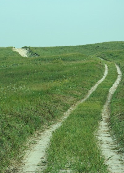 Nebraska sand hills, August 2007