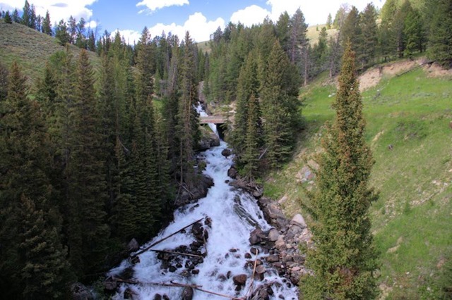 Waterfall just off  Beartooth Highway, which travels the Absaroka Range in Wyoming and Montana, August 14, 2014