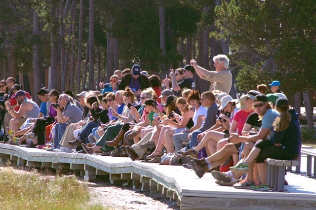 Crowds waiting for the eruption of Old Faithful Geyser, Yellowstone National Park, Wyoming, August 17, 3014