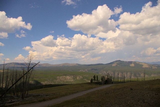 Chittenden Road viewpoint, Yellowstone National Park, Wyoming, August 18, 2014