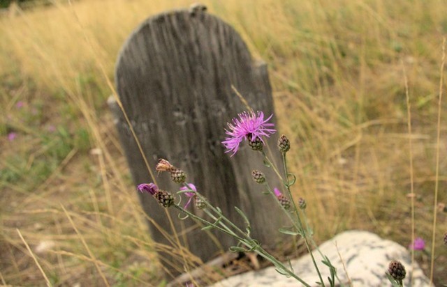 Sand Park Cemetery near Garnet, Montana, August 22, 2014