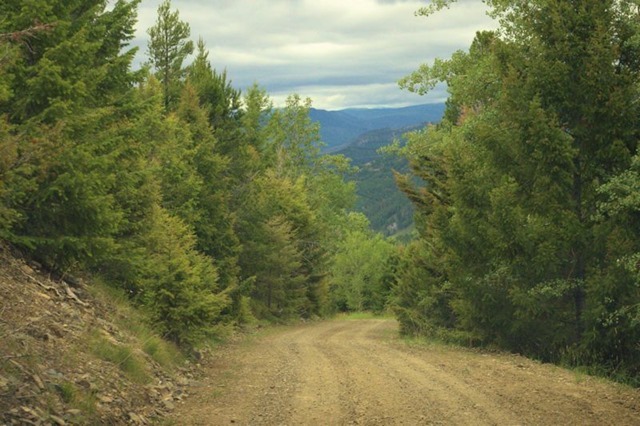 Unpaved road  between interstate highway and ghost town of Garnet, Montana, August 22, 2014