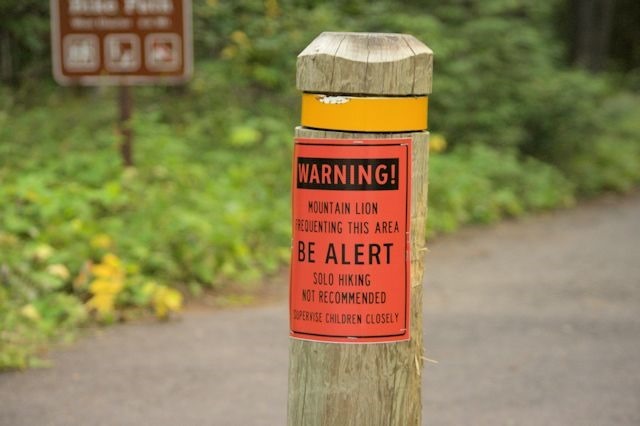 Mountain Lion warning, Apgar Village, Glacier National Park, Montana, August 28, 2014