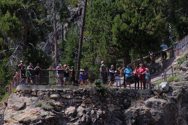 Observation platform at Brink of the Lower Falls of the Yellowstone