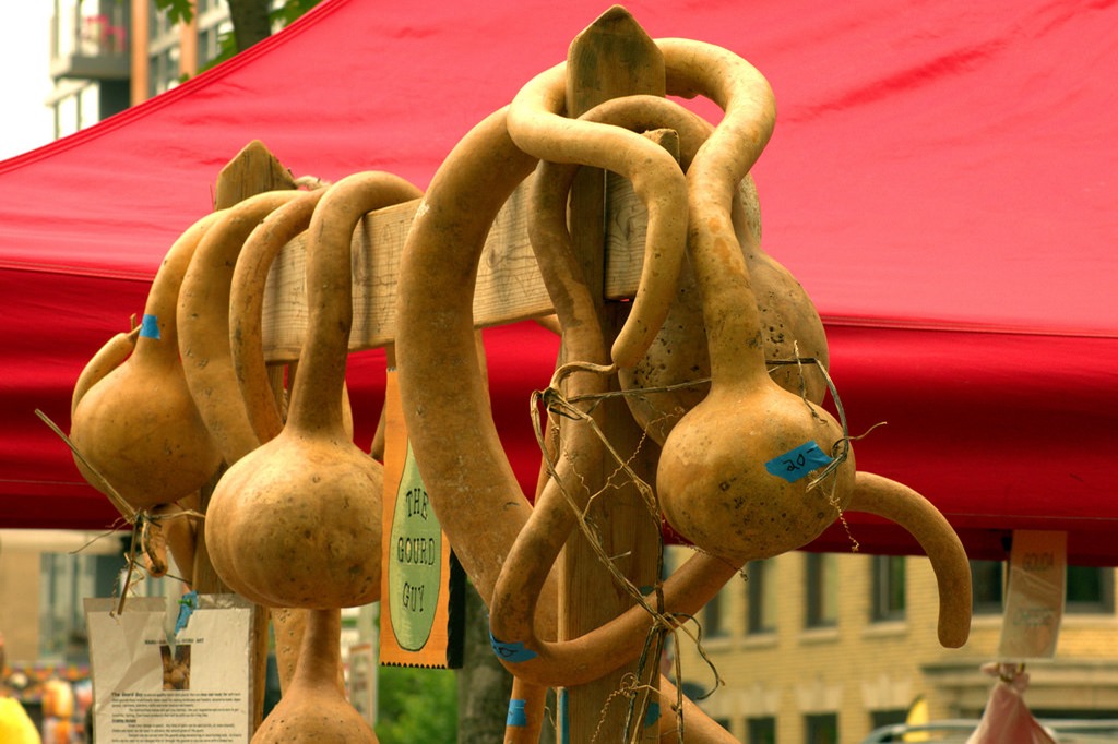 Funky Gourds - Dane County Farmers Market Saturday on the Square, Madison, Wisconsin, June 2, 2018. Photo shared as public domain at Pixabay and Flickr. 