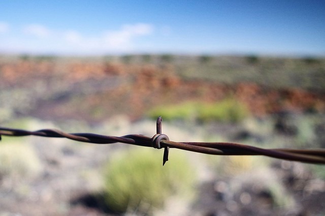Barbed wire, between Sunset Crater Volcano National Monument and Wupatki National Monument, north-central Arizona, near Flagstaff, October 6, 2011