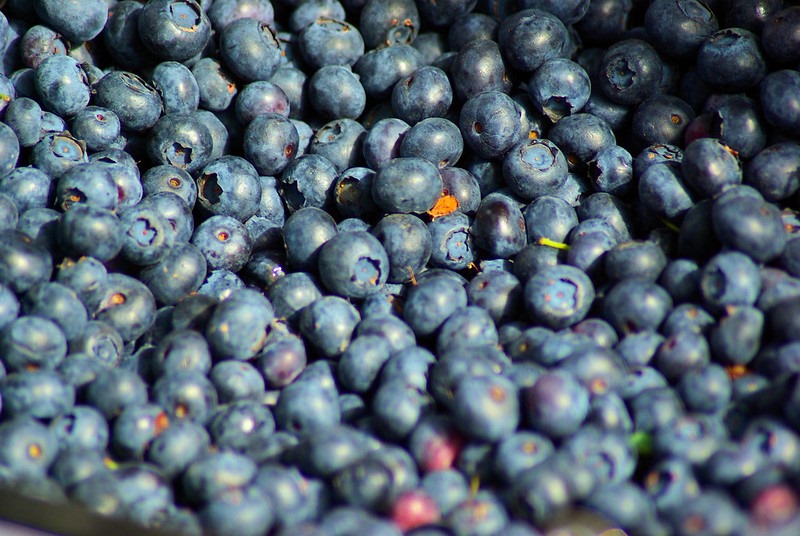 Blueberries, Farmers Market, Town Square, Jackson, Wyoming, July 17, 2010