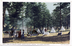 Grand Canyon Forest Camp–Early 20th Century