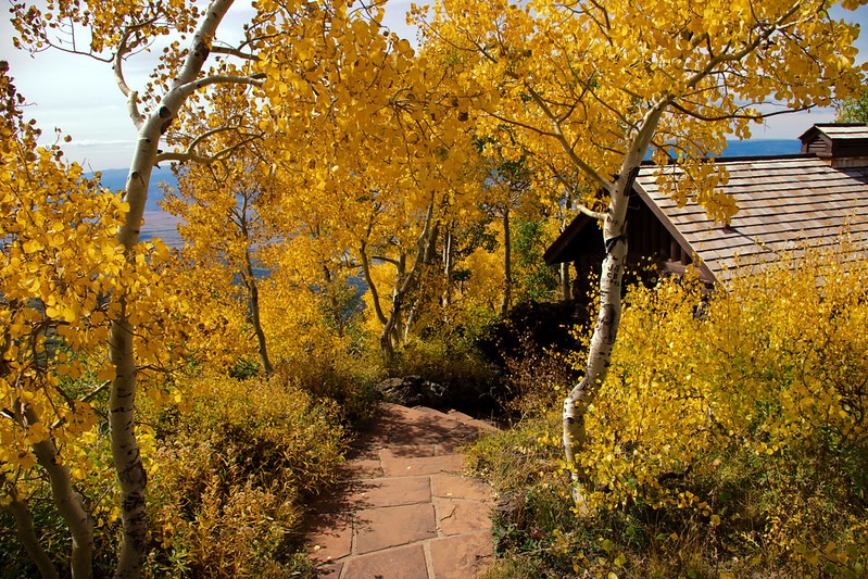 Autumn on Grand Mesa, Lands End Observatory area, Lands End Road, Grand Mesa, Colorado, September 30, 2015