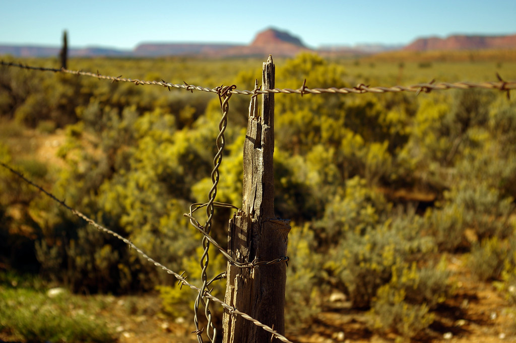 Barbed Wire Fence, Grand Staircase-Escalante National Monument, Utah, October 9, 2015